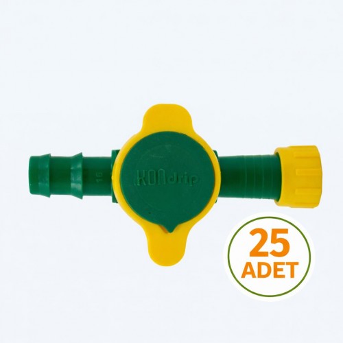 Kondrip mini vana Kurtağzı-yüzüklü